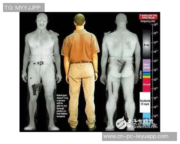 手拉与VS手拉的全面对比解析及其在不同场景下的应用优势